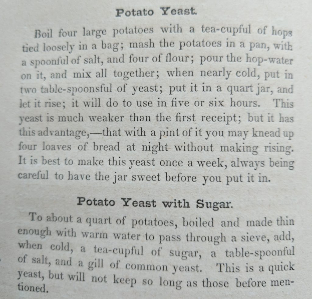 Potato Yeast